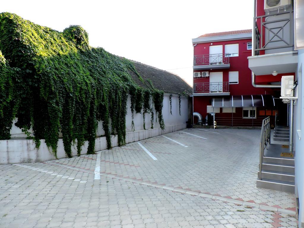 B&B Zmajevo Gnezdo 021 Sremska Kamenica Buitenkant foto