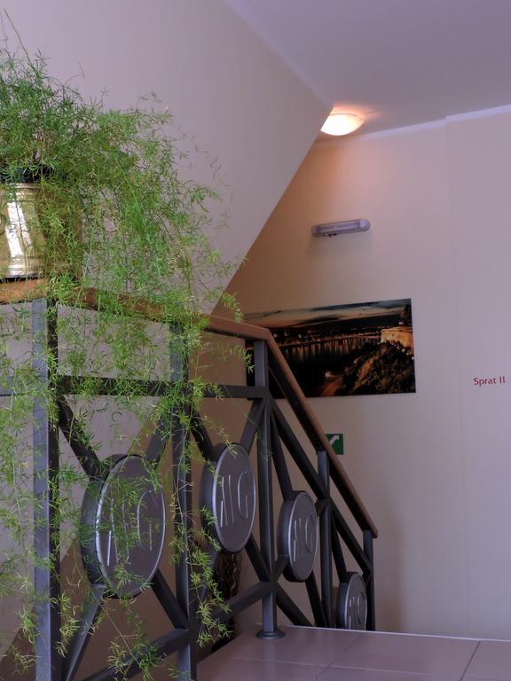 B&B Zmajevo Gnezdo 021 Sremska Kamenica Buitenkant foto