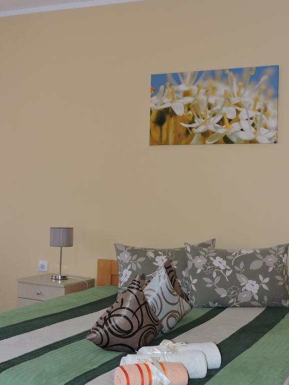 B&B Zmajevo Gnezdo 021 Sremska Kamenica Kamer foto