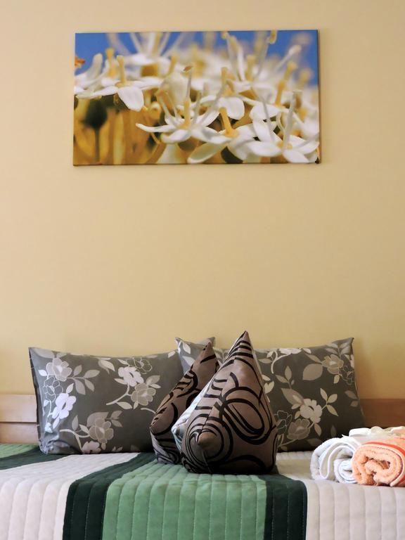 B&B Zmajevo Gnezdo 021 Sremska Kamenica Buitenkant foto