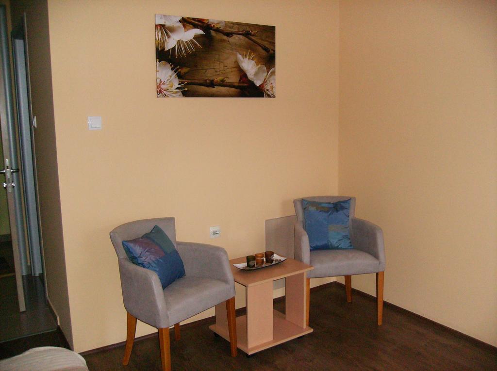 B&B Zmajevo Gnezdo 021 Sremska Kamenica Kamer foto