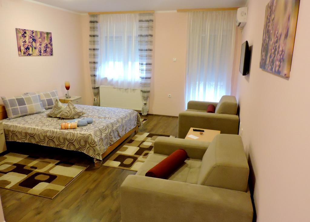 B&B Zmajevo Gnezdo 021 Sremska Kamenica Buitenkant foto